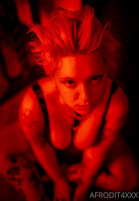 afrodit4x star du porno xxx galeries