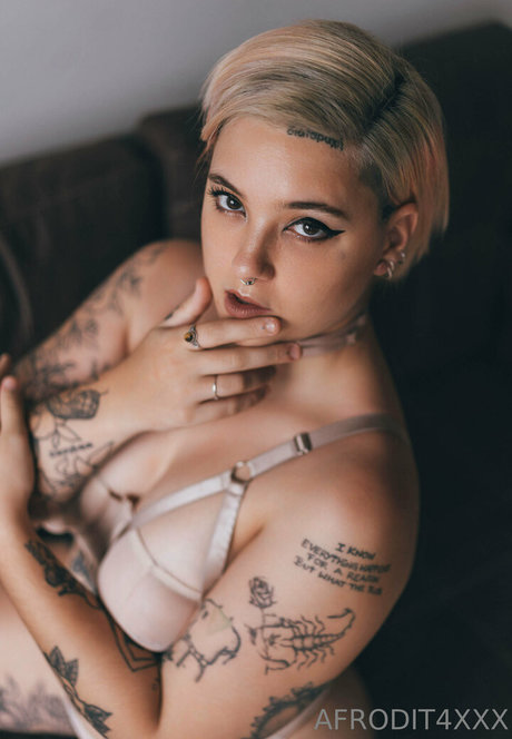 afrodit4x star du porno adulte img