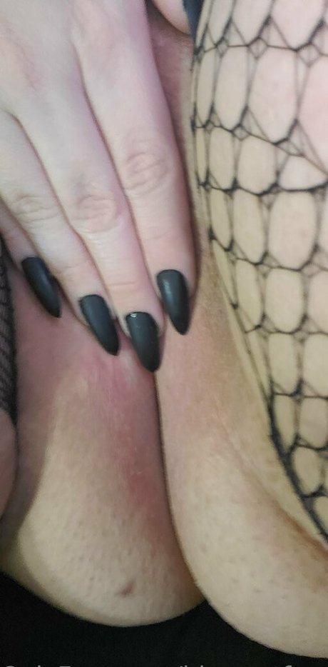 bluewutfree étoile de haute qualité collection