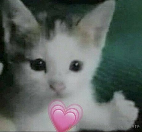 katelovemate modelo porno fotos