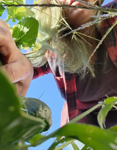 mistysunshine00 modèle pornographique images