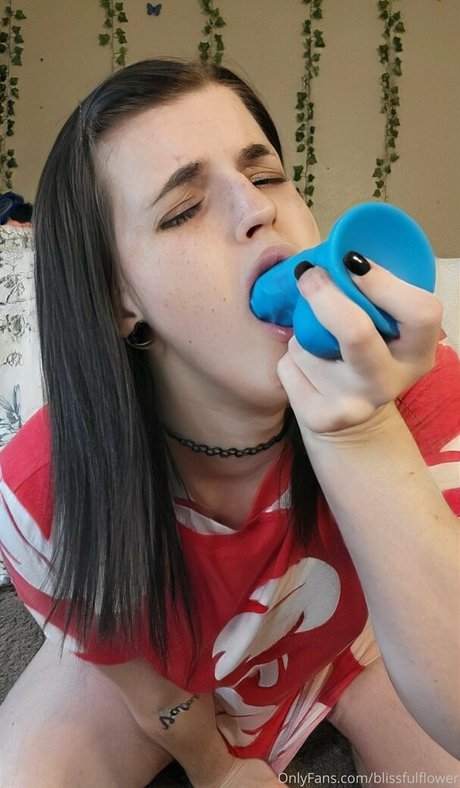 blisscatalog actrice pornographique img