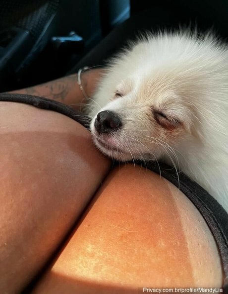 MandyLia modèle joli des photos