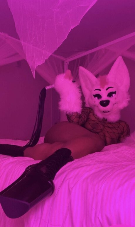 Murrsuit star du porno parfaite collection