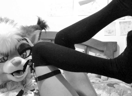 Murrsuit actriz exclusiva archivo