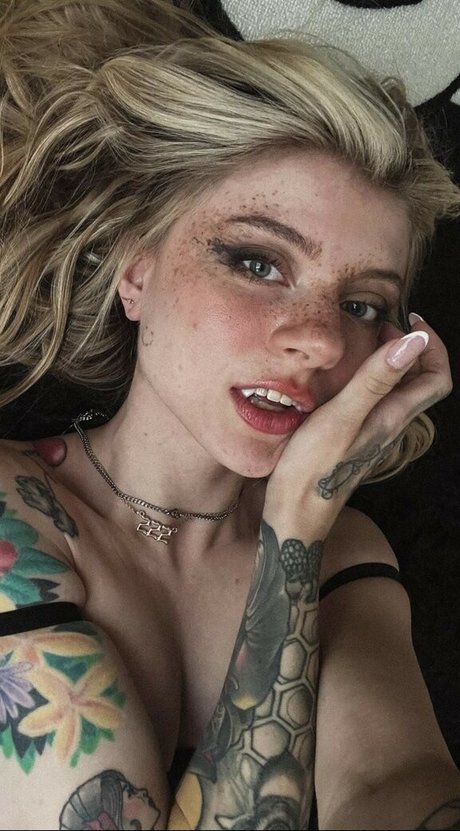 imsadspice arte estelar archivo