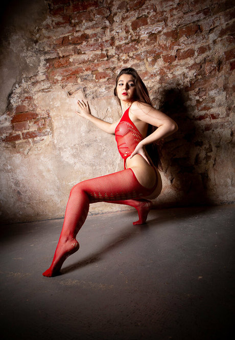 Leisy Lucy star pornographique collection