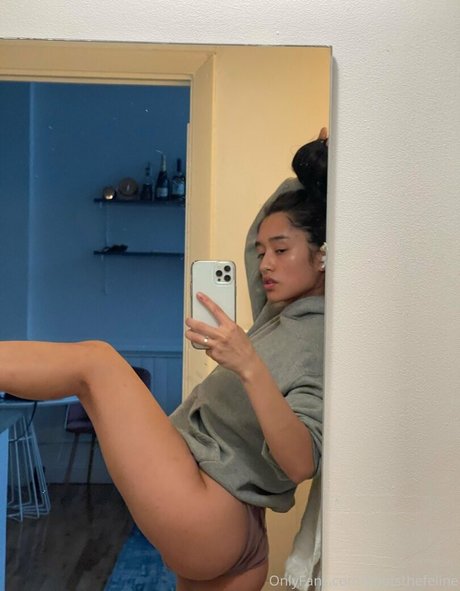 bootsthefeline modelo superior archivo