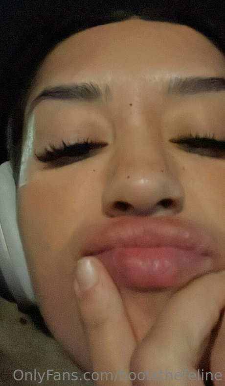 bootsthefeline estrella hd archivo