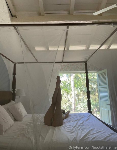 bootsthefeline pornstar beautiful photos