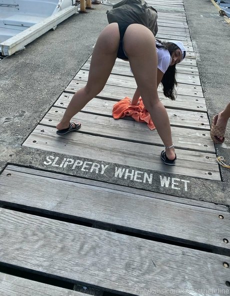 bootsthefeline modèle gratuit img