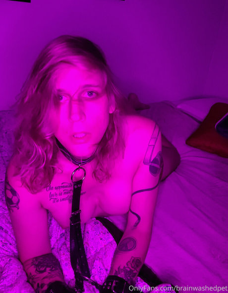 brainwashedpet modèle de sexe galeries