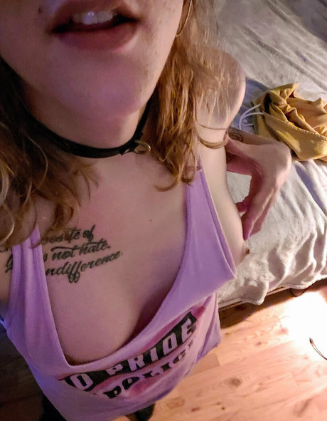 brainwashedpet estrella libre galería