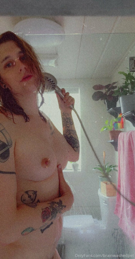 brainwashedpet étoile hd images