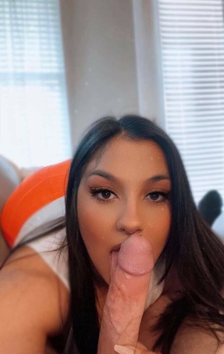 lexihunterr modelo mejor recopilación