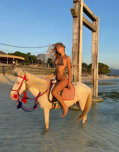 elllleeee estrella porno gratis fotos