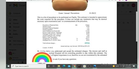 chicas cachondas onlyfans erótica gratis imágenes