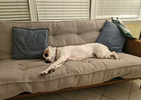 fridays child69 actrice de grande qualité photos