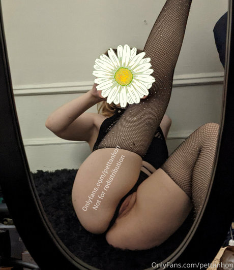 pettanhon estrella hermosa imagen