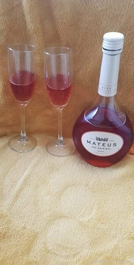 tashag18 modelo galería