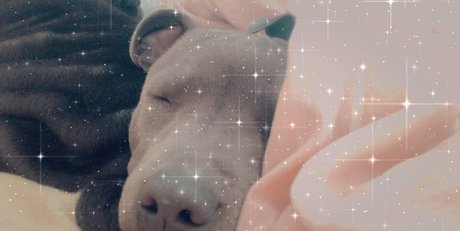 roxikeogh buena actriz recopilación