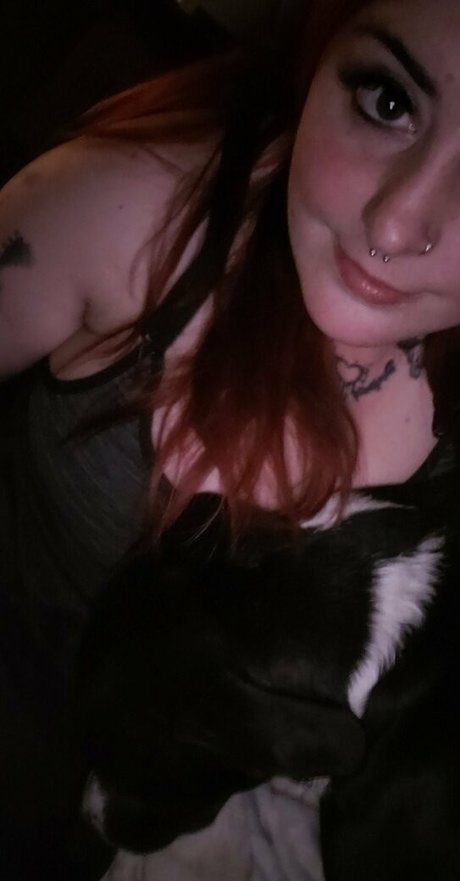 paradox 5683 modèle de haute qualité images