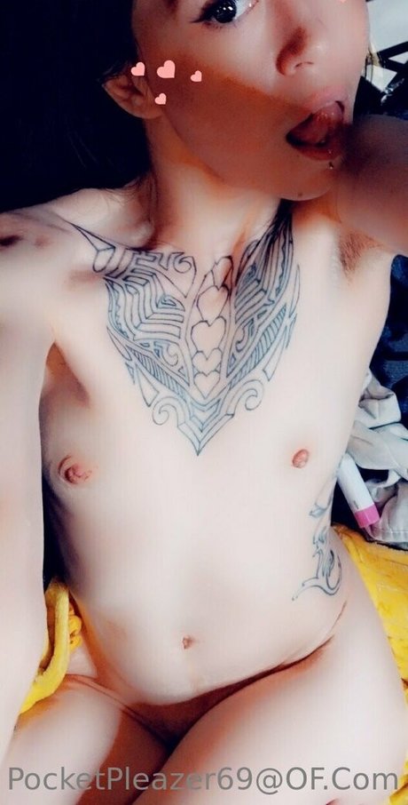 pocketpleazer star du porno gratuite galeries