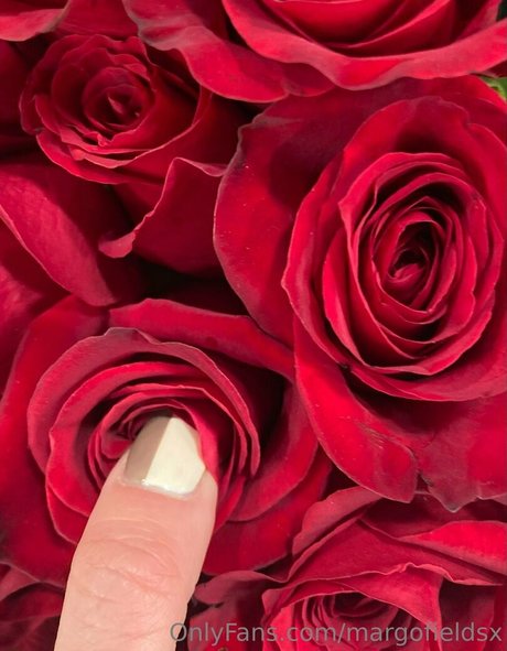 margofieldsx hermosa actriz galería