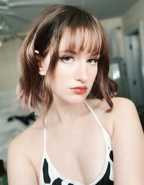 HazelFig étoile hd photos