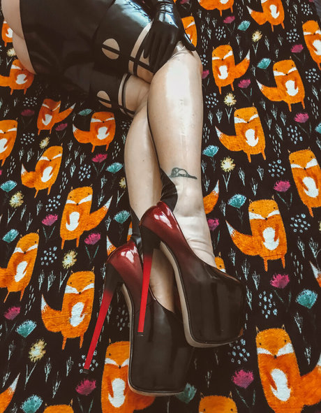 latex fox hermosa estrella archivo