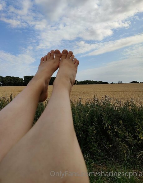 sharingsophia estrella porno del sexo recopilación