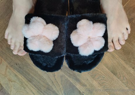 sharingsophia estrella libre imagen