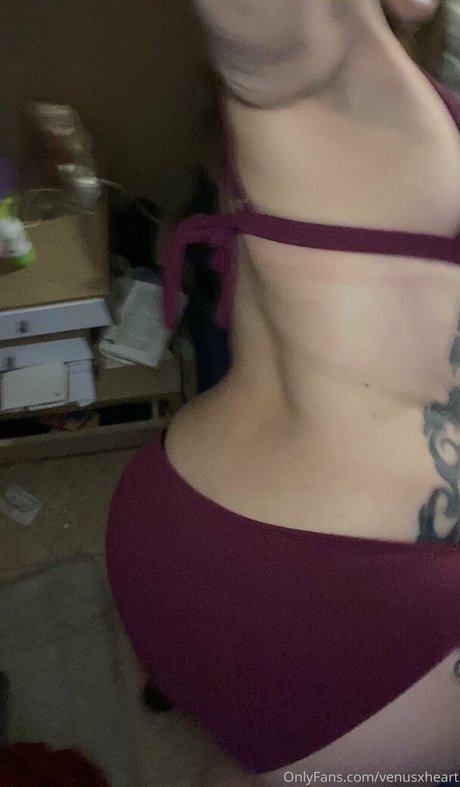 venusxheart star du porno en haute qualité galeries