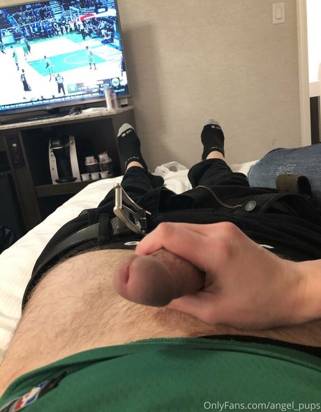 angel pups joli modèle collection