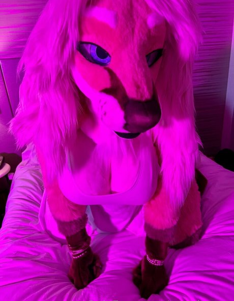 angel pups estrella porno superior recopilación