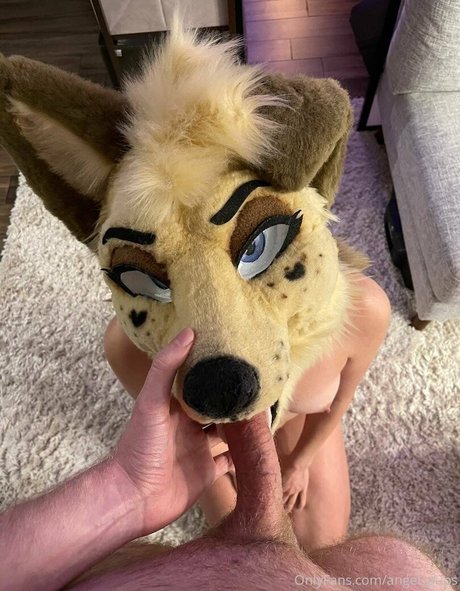 angel pups estrella hd galerías