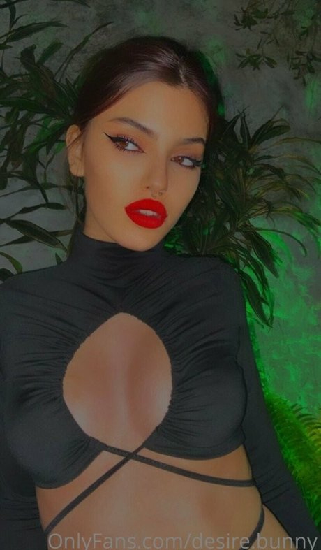 Desiree Bunny Image de profil