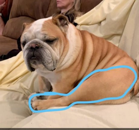 Courtney Craib actriz de arte imagen