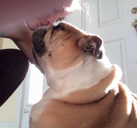 Courtney Craib mejor estrella recopilación