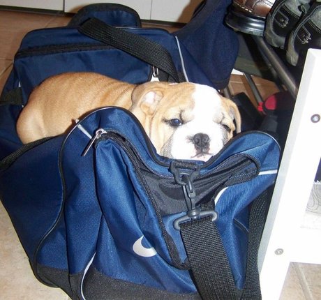 Courtney Craib actrice nue galerie