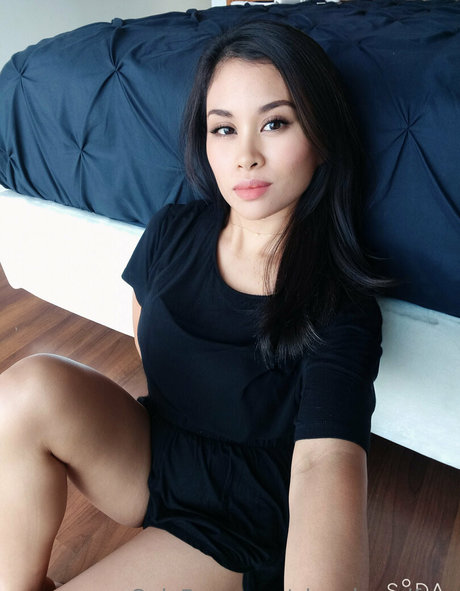 planejanedfree modelo recopilación