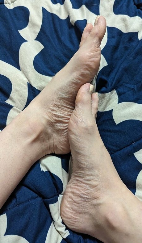 Little Finch star exclusive collection