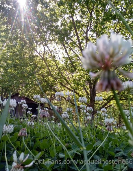 jacquelinestone56 modèle meilleur image