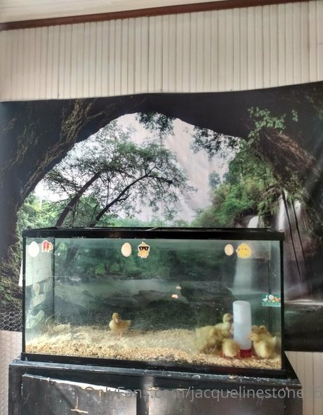 jacquelinestone56 actrice érotique des photos