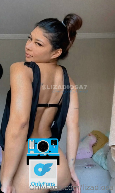 lizadiosa arte estelar galerías