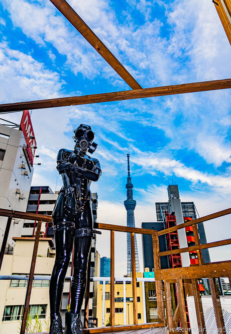 siranegi56 star du porno gratuit archive