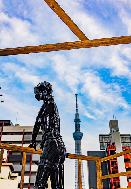 siranegi56 Miniatura