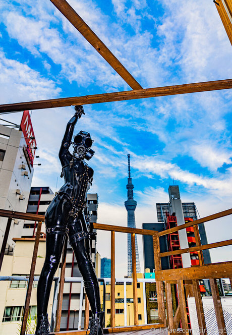 siranegi56 Image de profil