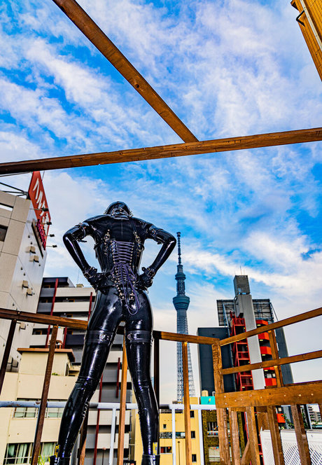 siranegi56 star du porno xxx archive