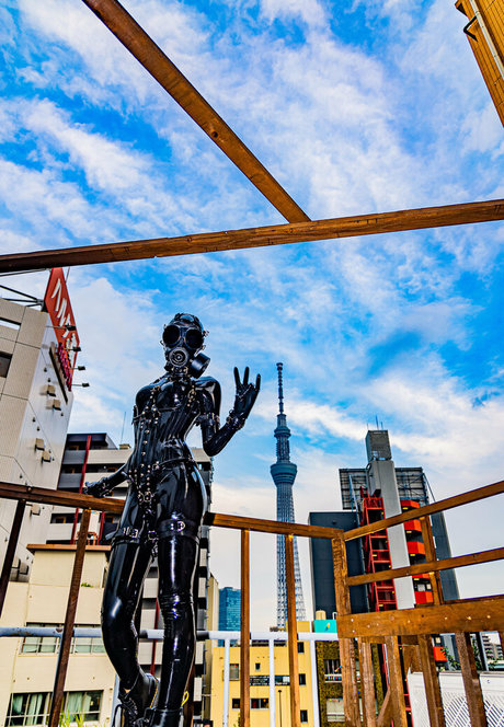 siranegi56 star du porno img